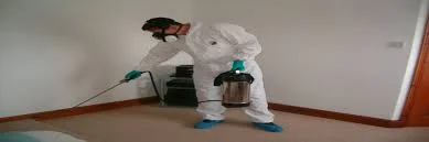 شركة رش مبيدات بالدمام