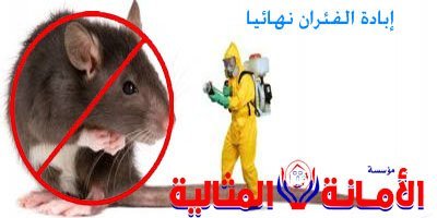 شركة مكافحة فئران بالخبر