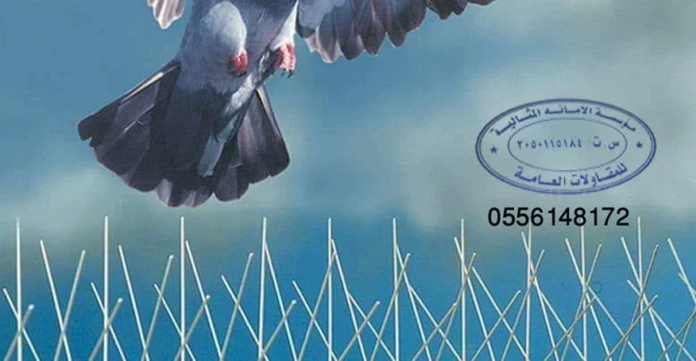 شركة مكافحة الحمام